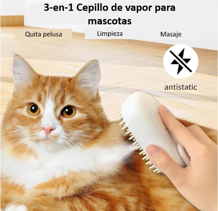 Cepillo Automático Vapor